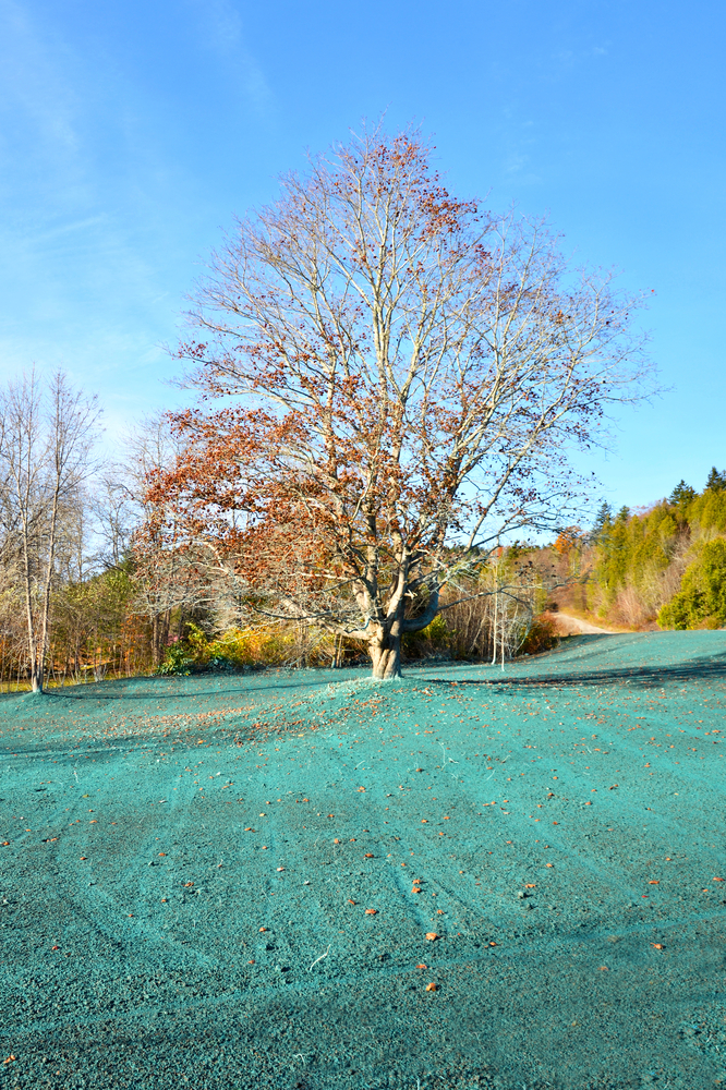 Jade Blade hydroseeding professionals for calgary alberta