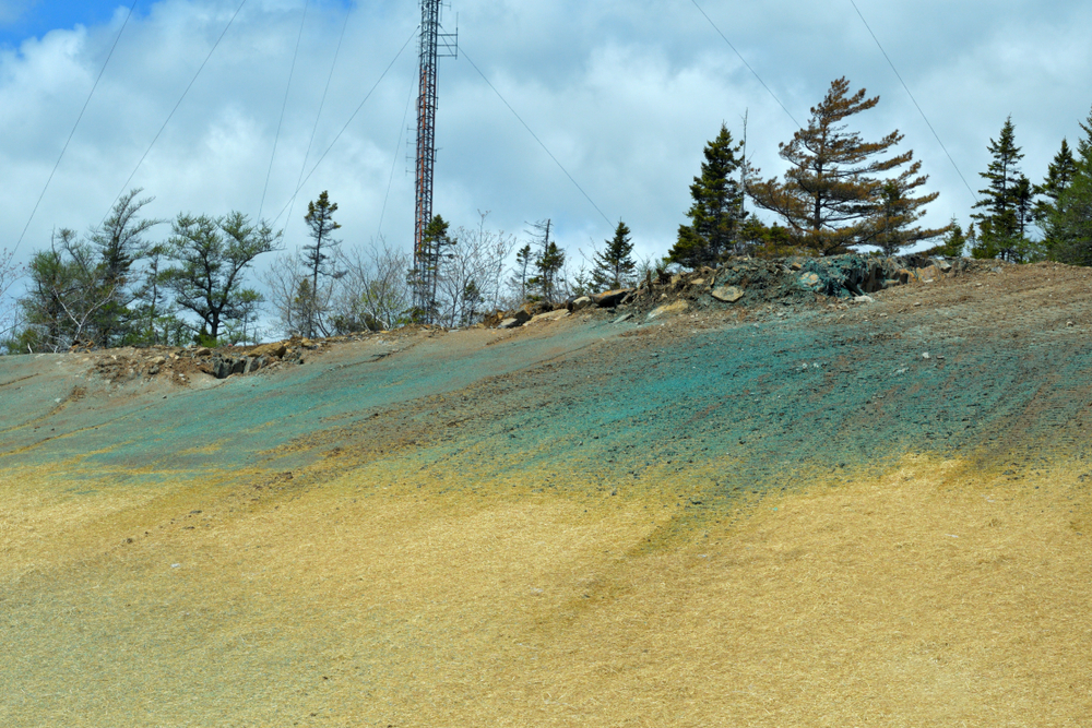 Jade Blade Hydroseeding in the city of grand prairie alberta.