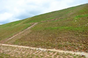 Commercial hydroseeding during early spring in Alberta.