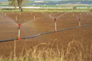 Portable sprinklers watering a newly hydroseeded acreage without permanent irrigation