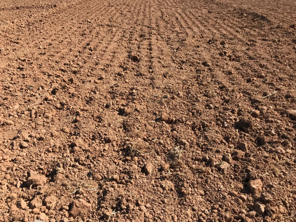 Current image: Bare soil protected during a construction delay with erosion-control measures