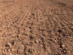 Bare soil protected during a construction delay with erosion-control measures