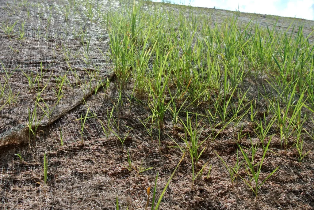 Current image: Hydroseeding used for erosion control on exposed soil and sloped terrain